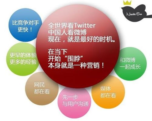 菜鳥時(shí)代 互聯(lián)網(wǎng)世界中的網(wǎng)絡(luò)品牌營(yíng)銷與銷售新解